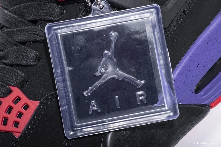Jordan AQ3816-056 4 Air Raptors 0104